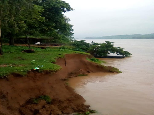 নেত্রকোনায় পাহাড়ি ঢলে সোমেশ্বরী নদীর পাড় ভাঙ্গন