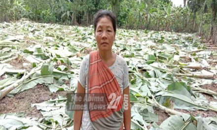 মধুপুরে আদিবাসী কৃষকের আবাদি ফসল কেটে বন বিভাগের বৃক্ষরোপণ কর্মসূচি