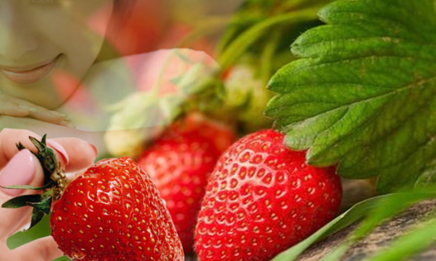 স্বাস্থ্য ও রুপ চর্চায় স্ট্রবেরি ফলের পুষ্টিগুণ