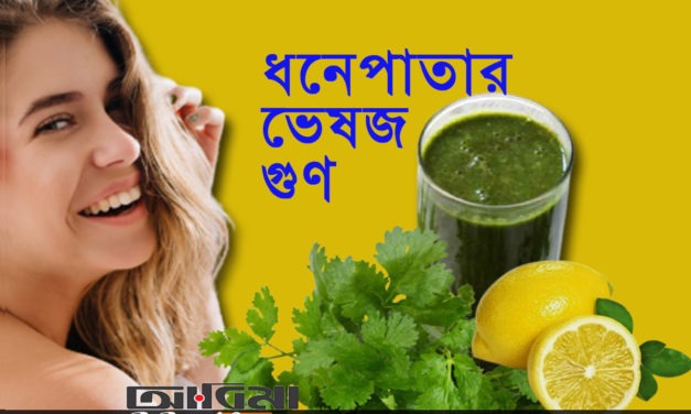 আপনি ধনেপাতার ভেষজ গুণ জানেন কি ?