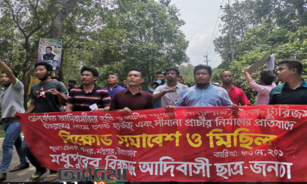 পুলিশের বাঁধা উপেক্ষা করে মধুপুরে প্রাচীন শশ্মান-ভূমি রক্ষায় আদিবাসী ছাত্র-জনতার বিক্ষোভ সমাবেশ