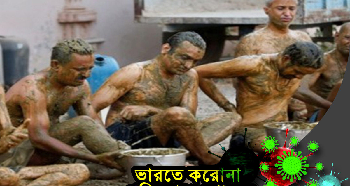 ভারতে করোনা প্রতিরোধে গোবর! লুই সাংমা