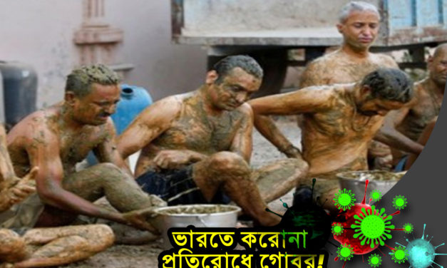 ভারতে করোনা প্রতিরোধে গোবর! লুই সাংমা