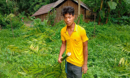 বালিজুড়ির উচ্ছেদ মিশন ও কিছু প্রাসঙ্গিক কথা