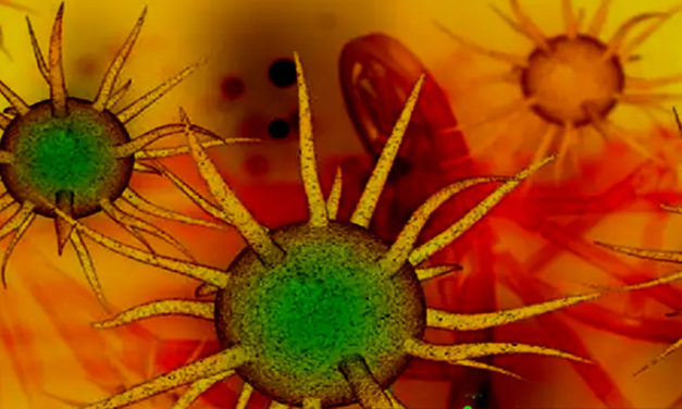 দক্ষিণ আফ্রিকা ও হংকংয়ে করোনার নতুন ধরন শনাক্ত